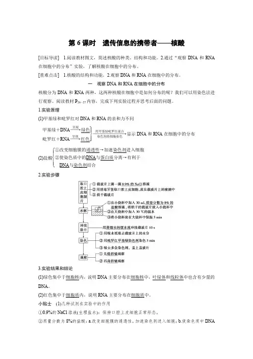 人教版高中生物必修一习题2.3遗传信息的携带者——核酸含解析