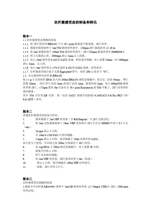 农杆菌感受态的制备和转化