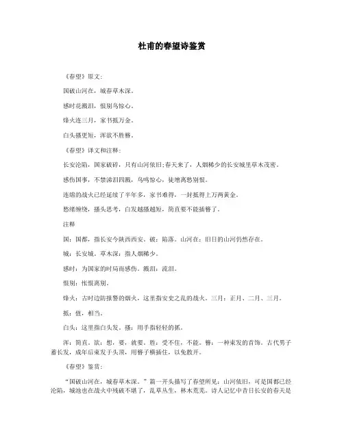 杜甫的春望诗鉴赏