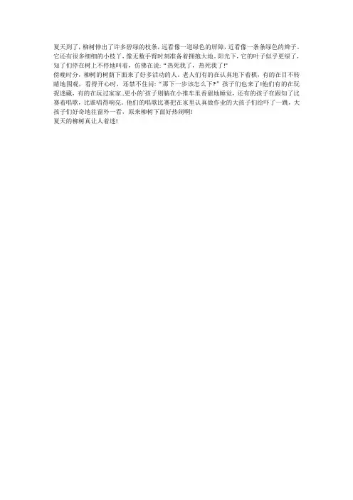 描写炎夏柳树的作文100字