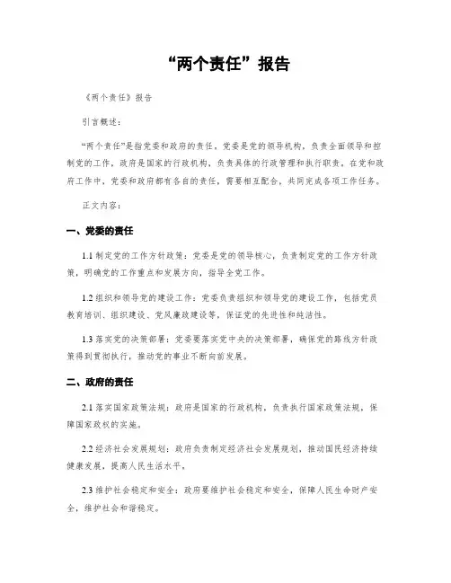 “两个责任”报告