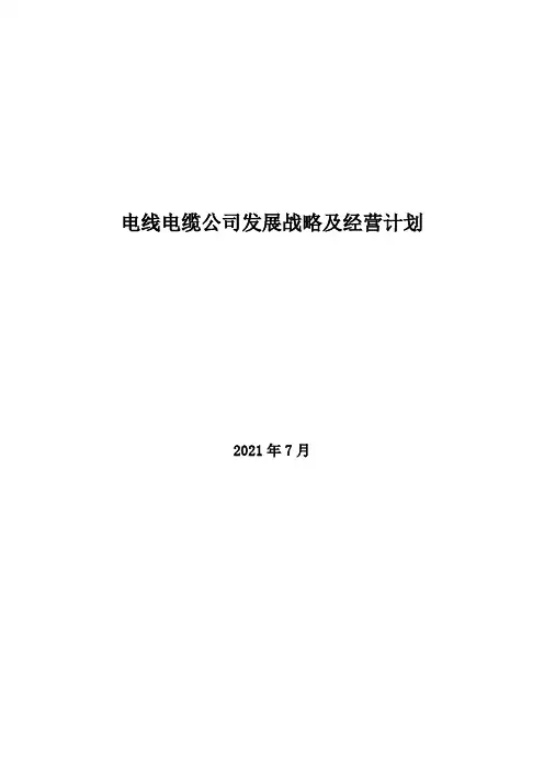 2021年电线电缆公司发展战略及经营计划