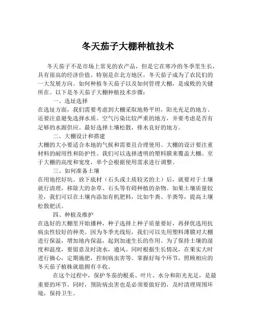 冬天茄子大棚种植技术
