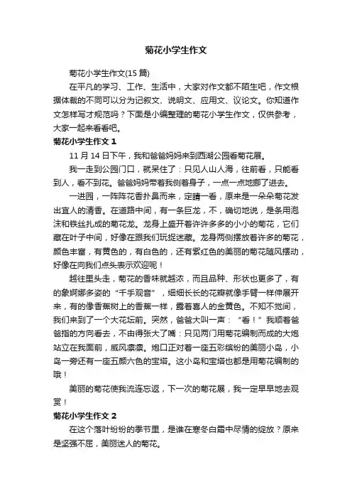 菊花小学生作文