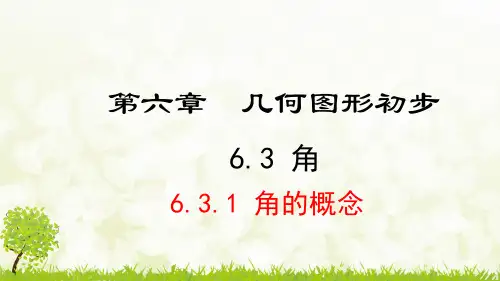 人教版七年级上册《6.3.1 角的概念》课ppt