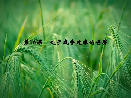 4.16 处于战争边缘的世界教学课件 岳麓版选修3课件