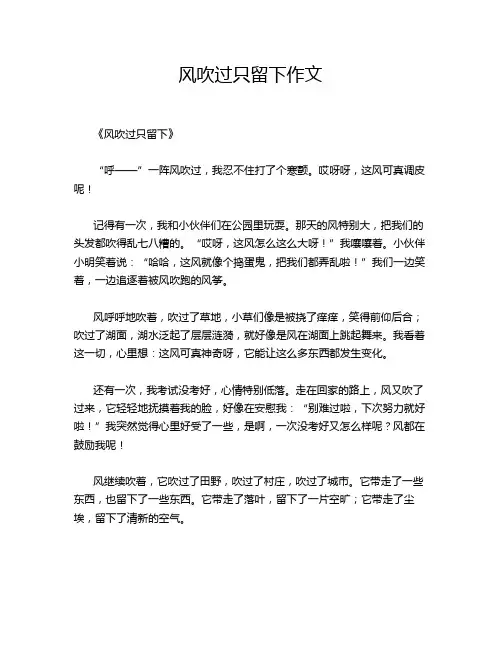 风吹过只留下作文