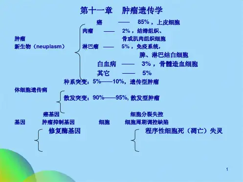 肿瘤遗传学ppt(共55张PPT)