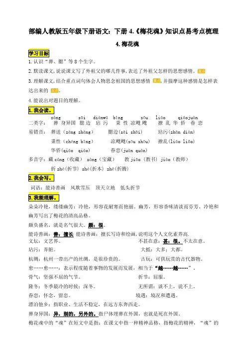 统编-部编人教版五年级下册语文：下册4.《梅花魂》知识点易考点梳理