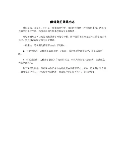 酵母菌的菌落形态