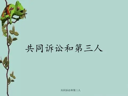 共同诉讼和第三人