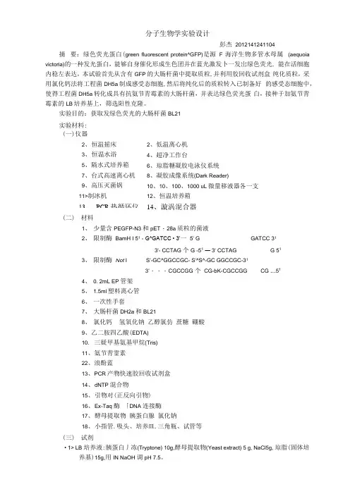 分子生物学实验设计