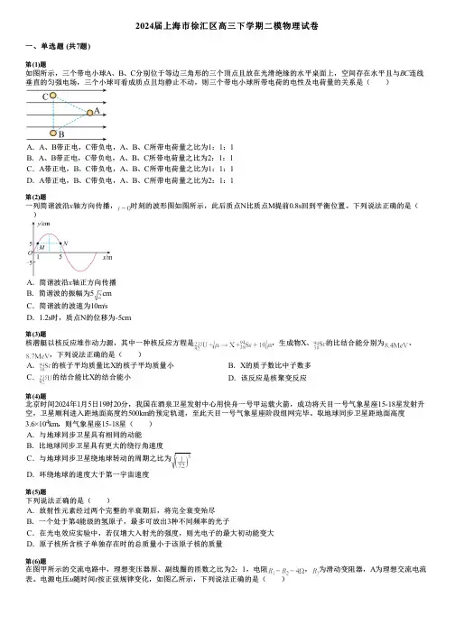 2024届上海市徐汇区高三下学期二模物理试卷
