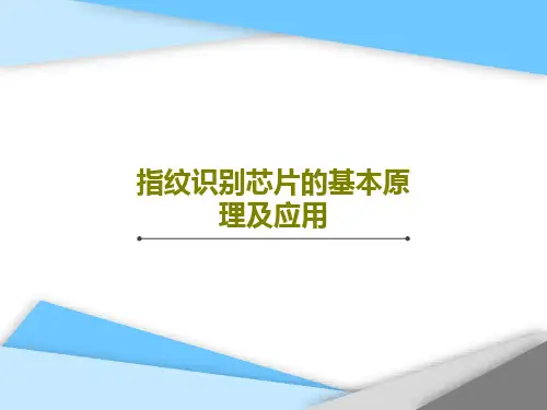 指纹识别芯片的基本原理及应用30页PPT