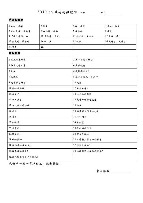 (译林版)5B Unit6 单词词组默写纸