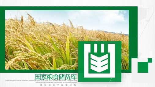 ppt模板：粮食储备粮储国家粮食储备库
