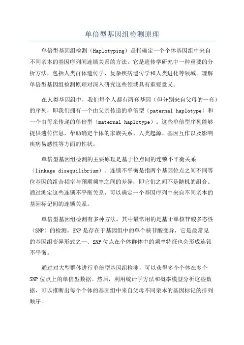 单倍型基因组检测原理