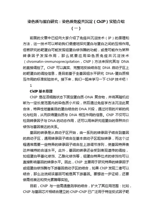 染色质与蛋白研究：染色质免疫共沉淀（ChIP）实验介绍（一）