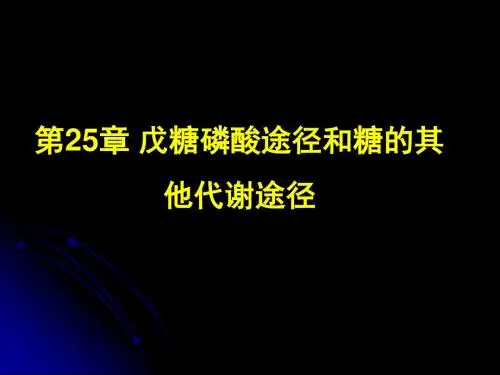 第七节生物化学 下册 25 戊糖磷酸与其他