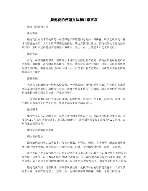 腊梅花的养殖方法和注意事项