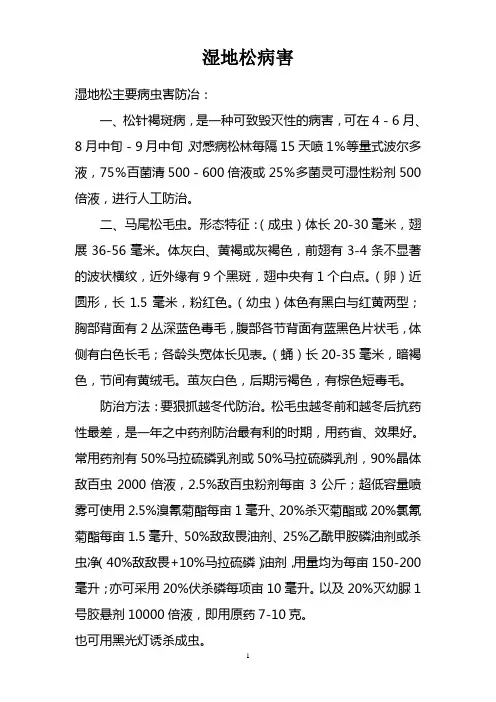 湿地松病害