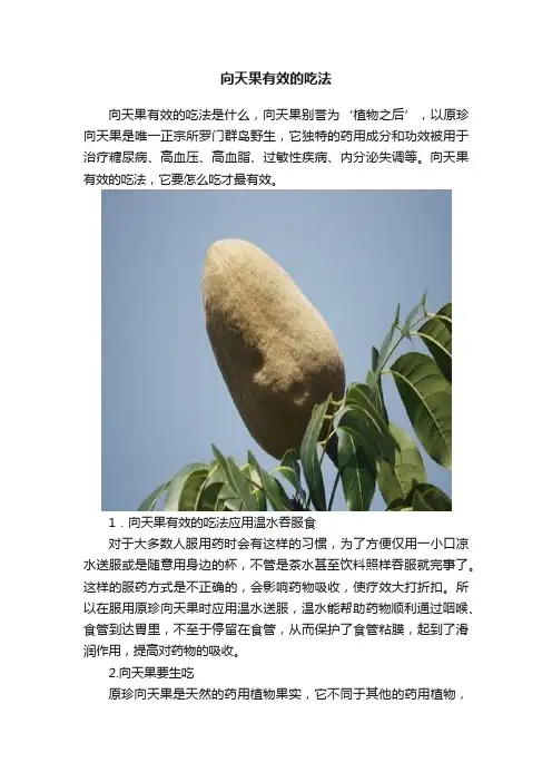 向天果有效的吃法