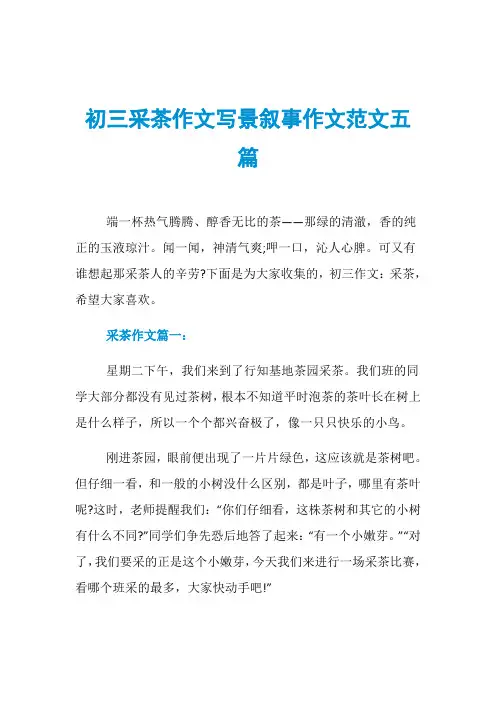 初三采茶作文写景叙事作文范文五篇