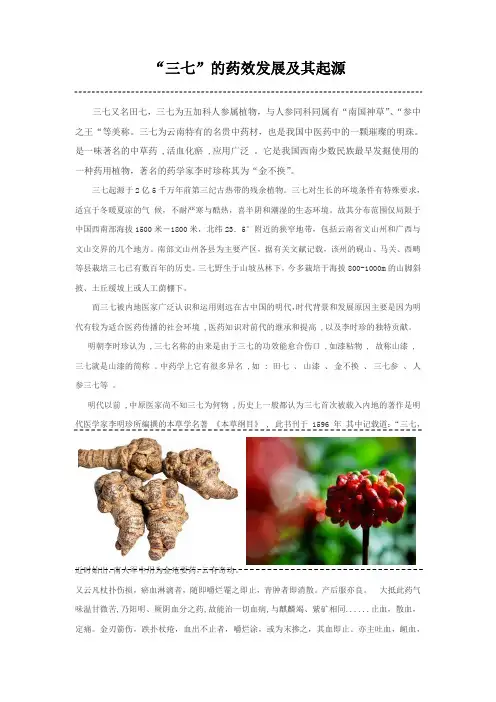 三七的药效发展及其起源