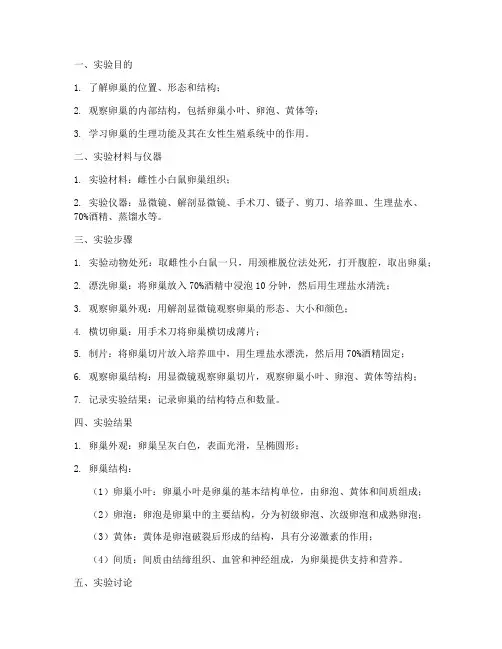 卵巢结构实验报告