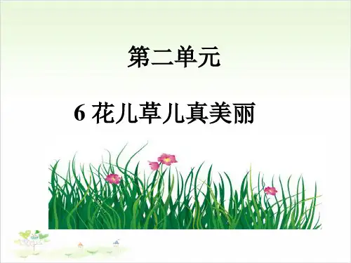 一年级下册道德与法治-6《花儿草儿真美丽》人教新版-PPT课堂课件