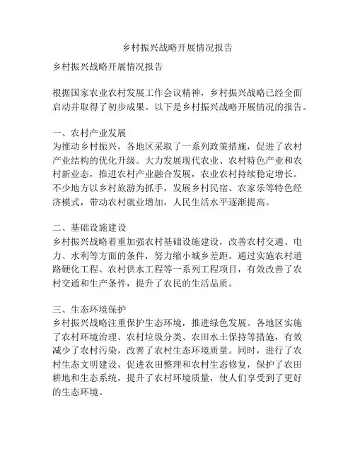 乡村振兴战略开展情况报告