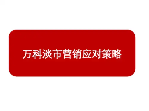 万科淡市营销策略.ppt