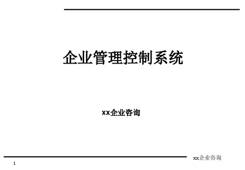 企业管理控制系统研究报告