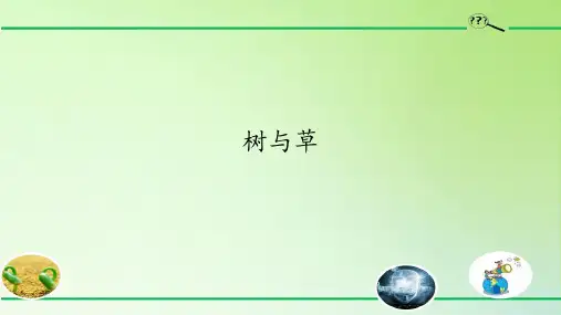 三年级下册科学课件 3.植物与我们的生活 冀人版  42张PPT