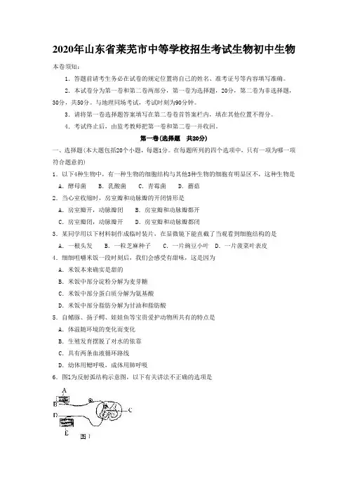 2020年山东省莱芜市中等学校招生考试生物初中生物