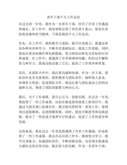 青年干部个人工作总结