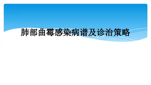 肺部曲霉感染病谱及诊治策略
