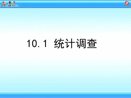 10.1统计调查课件ppt