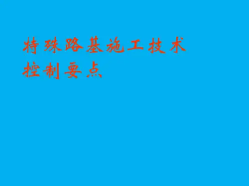 特殊路基施工技术_ppt