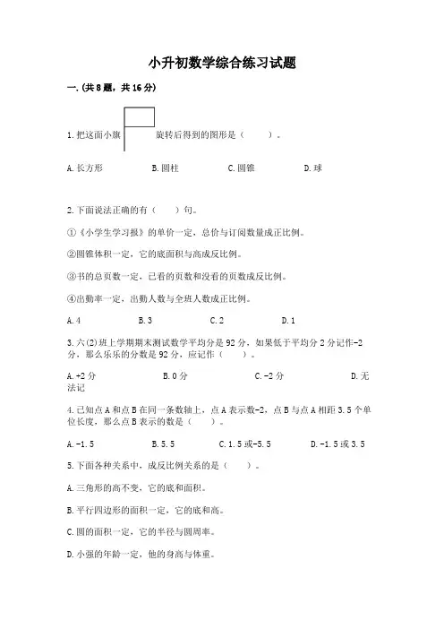 小升初数学综合练习试题附完整答案(精选题)
