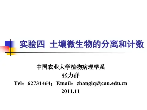 实验四 土壤微生物的分离和计数