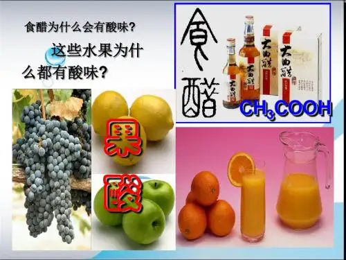 常见的酸和碱PPT课件42 人教版