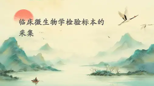 临床微生物学检验标本的采集