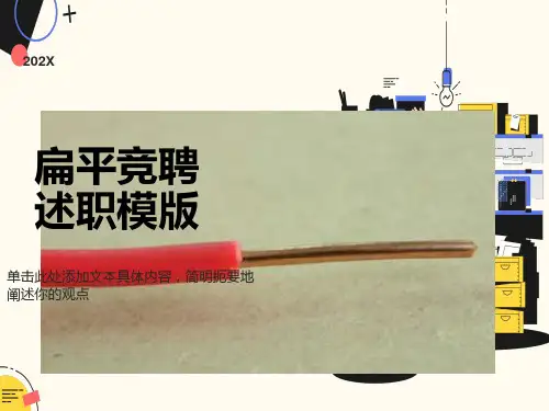 不同物质的导电性