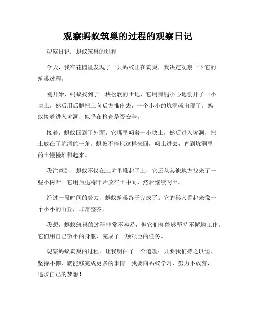 小学三年级作文观察蚂蚁筑巢的过程的观察日记