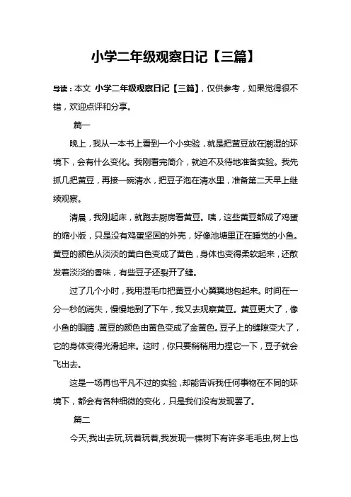 小学二年级观察日记【三篇】