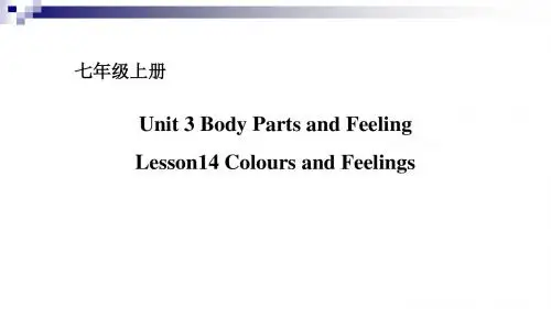 七年级英语上册Unit3BodyPartsandFeelingLesson14ColoursandFeelings课件新版冀教版