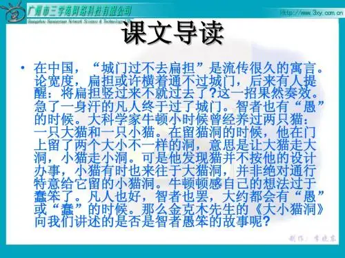 大小猫洞