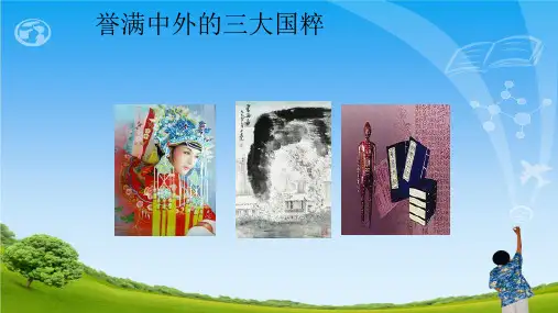 中医特色治疗ppt课件