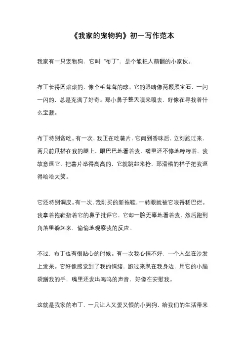 《我家的宠物狗》初一写作范本